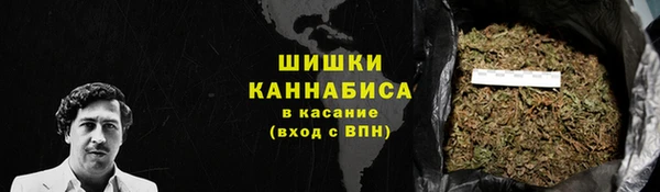 мдпв Каменногорск