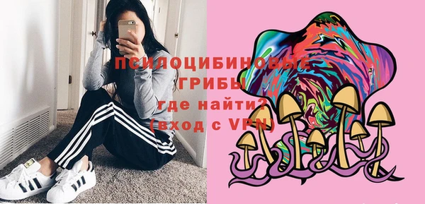 тгк Балахна
