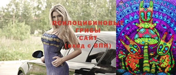 apvp Каменка