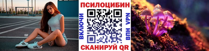 Галлюциногенные грибы мухоморы  Кущёвская 