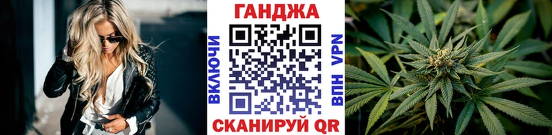 Конопля сатива Кущёвская